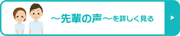 ～先輩の声～ を詳しく見る